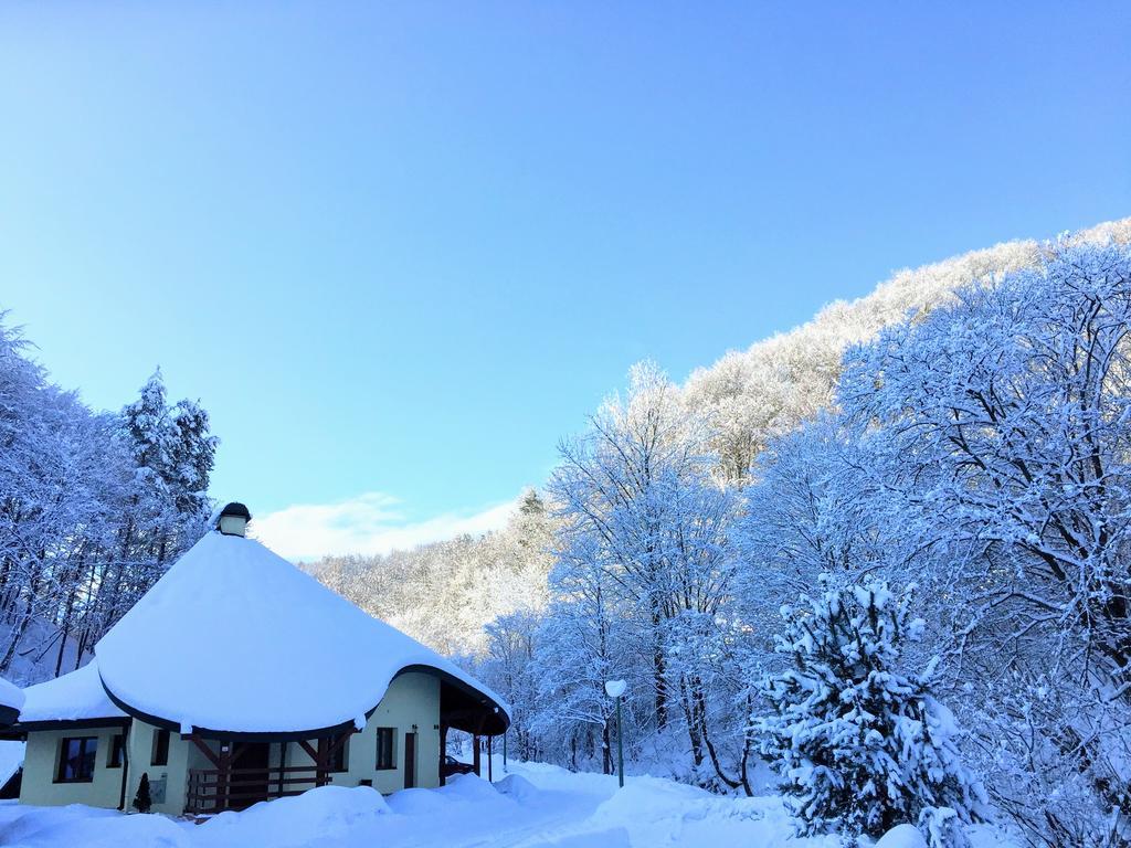 Solinianka Villas & Spa Solina  Esterno foto